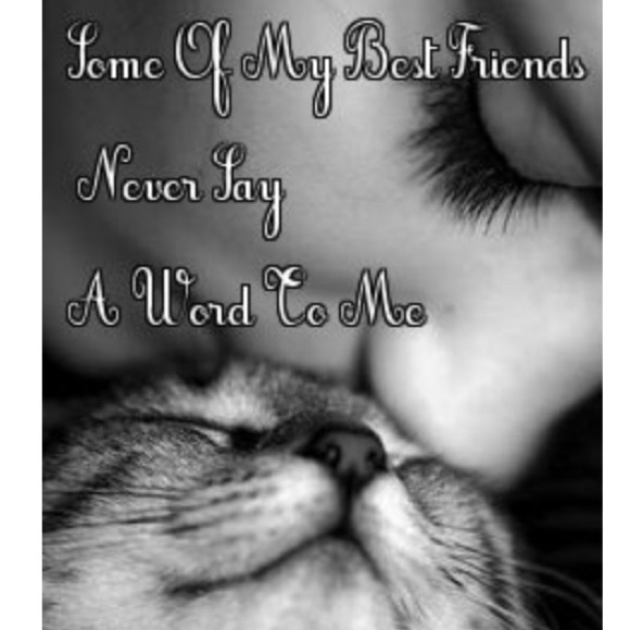 Meet your Posher, Brenda - Picture 3 of 13